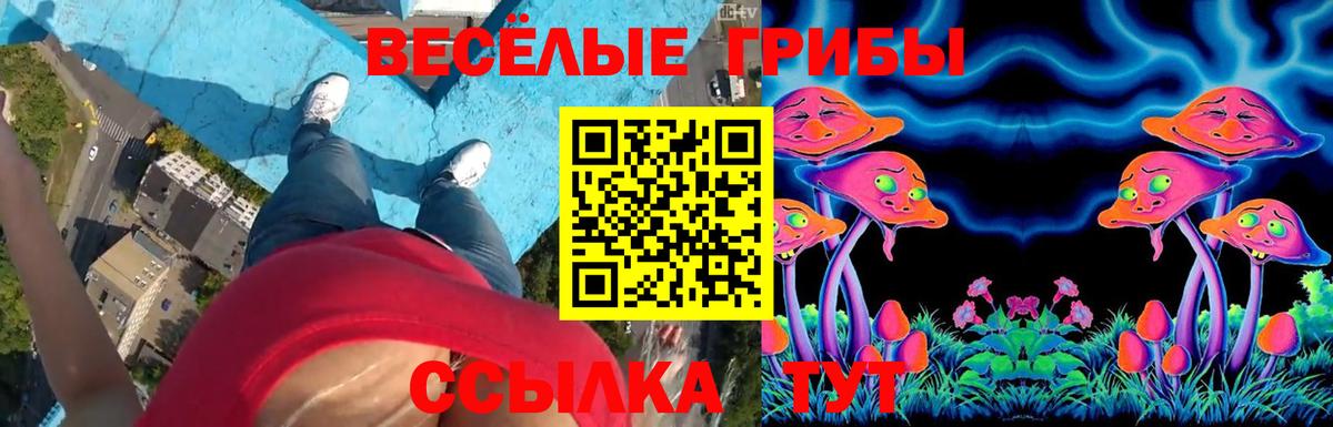 Псилоцибиновые грибы мицелий  Галлюциногенные грибы MAGIC MUSHROOMS  Вход с VPN  Алексин 